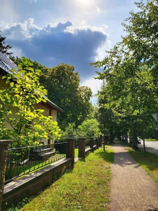 Haus Am Walde Apartment Mullrose Exterior photo