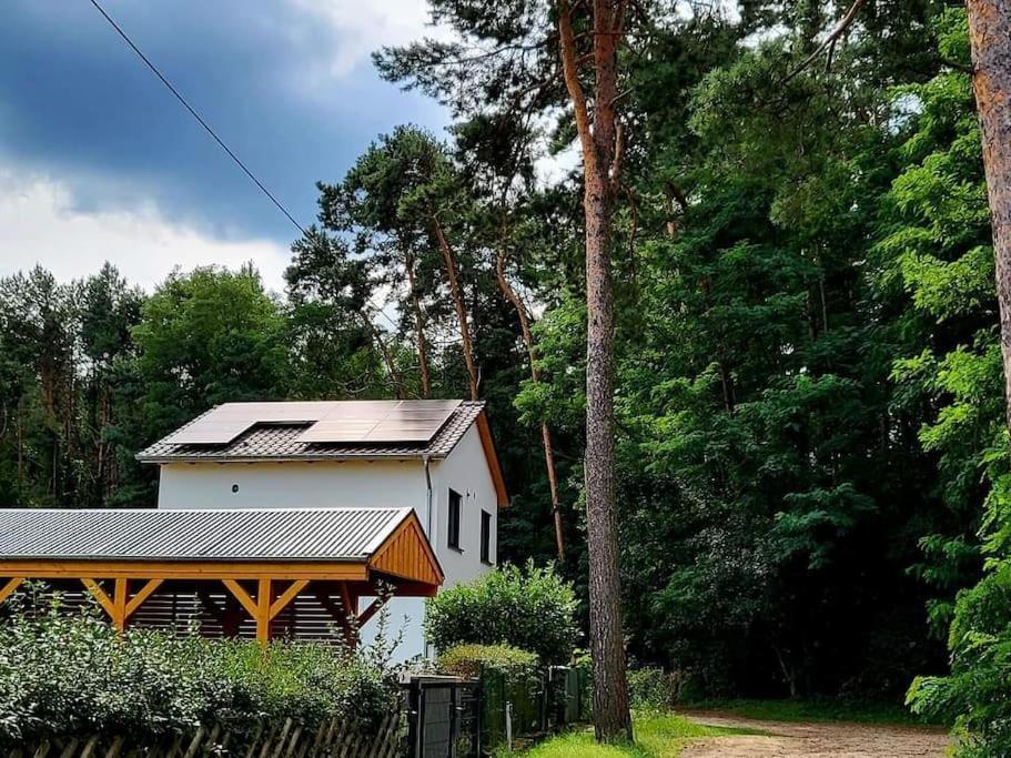 Haus Am Walde Apartment Mullrose Exterior photo