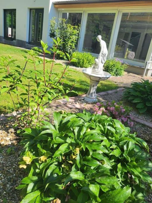 Haus Am Walde Apartment Mullrose Exterior photo
